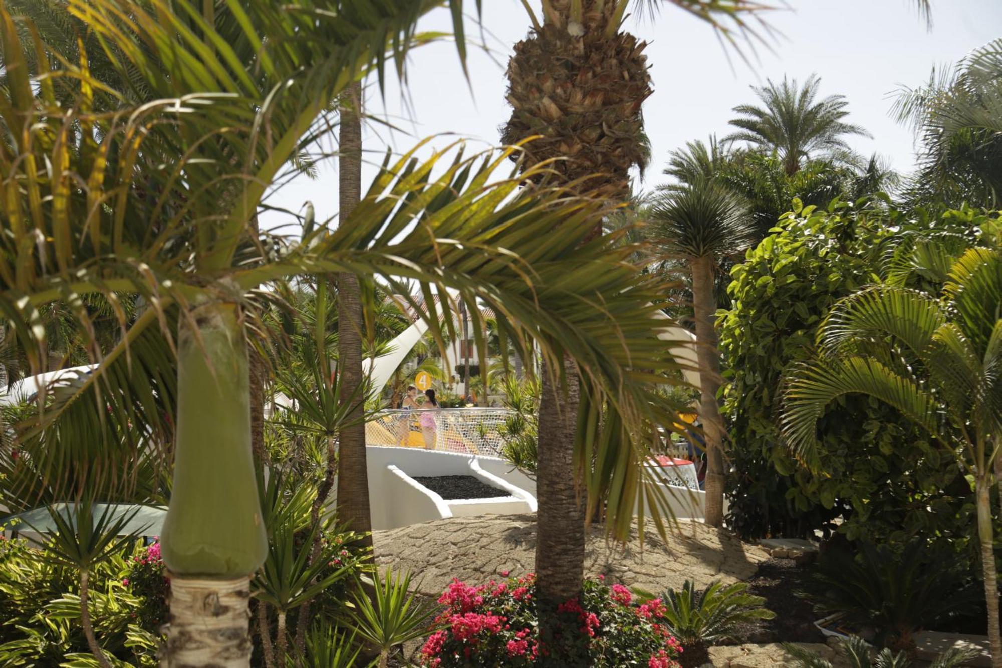 Parque Santiago 3 Luxery Apartment, Playa Las Americas, Arona, Tenerife 플라야데라스아메리카스 외부 사진